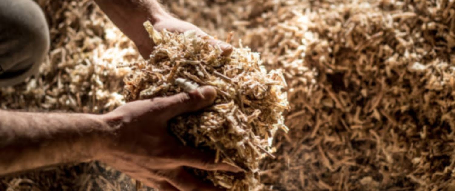 sawdust